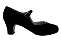 zapato2